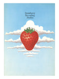 Strawberry Recoding Studios Promotional Brochure