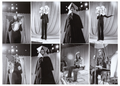 Genesis photograph collection 1973