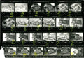 Paul McCartney and wings 1972 wings over Europe contact sheet