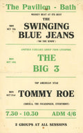 The Pavilion 1960s Handbill