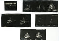Neil Young Contact sheets