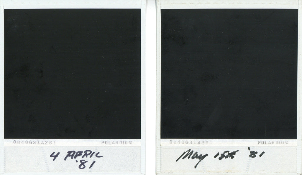 Friar Park Polaroid photographs 1981