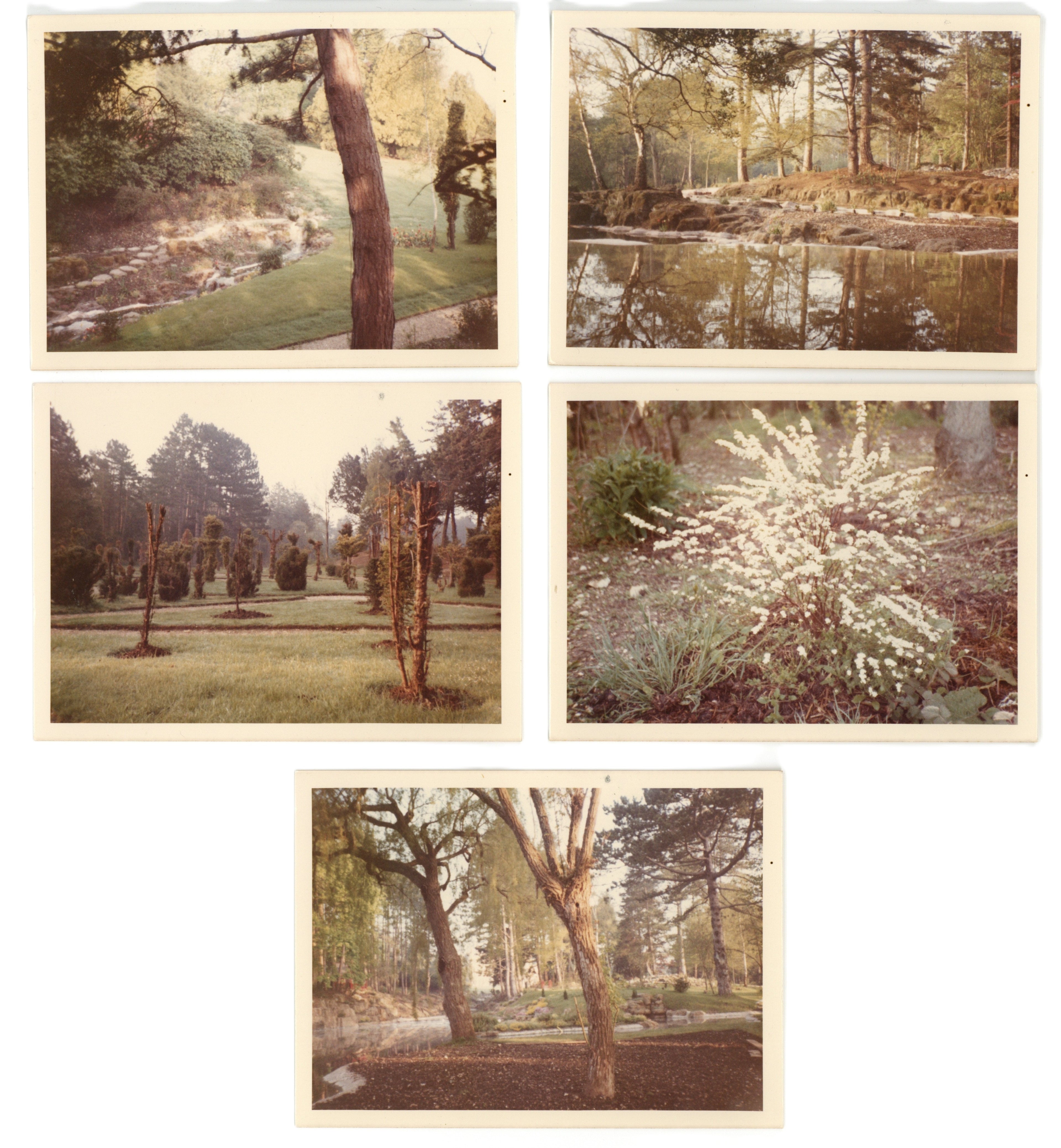 Collection of Friar Park Snapshots 1973