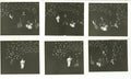 Collection of The Rolling Stones Snapshot Photographs 1965